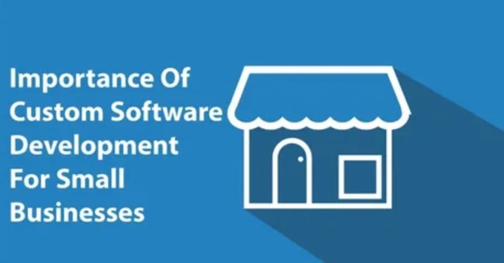 custom software development for small businesses