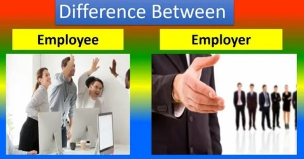 Employer perspective on hiring freshers vs experienced professionals