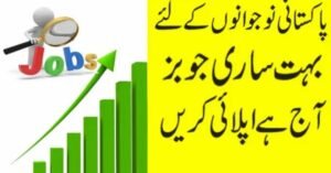 Job Demand in Pakistan 2026 – Complete Guide to High-Paying Careers & Future Growth